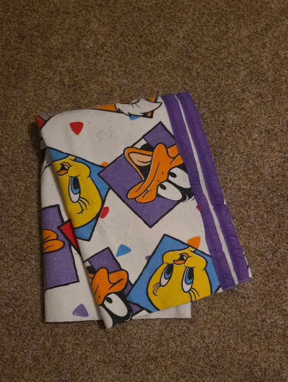 Looney Tunes Blanket with Purple Trim Featuring Tweety, Daffy, And Sylvester